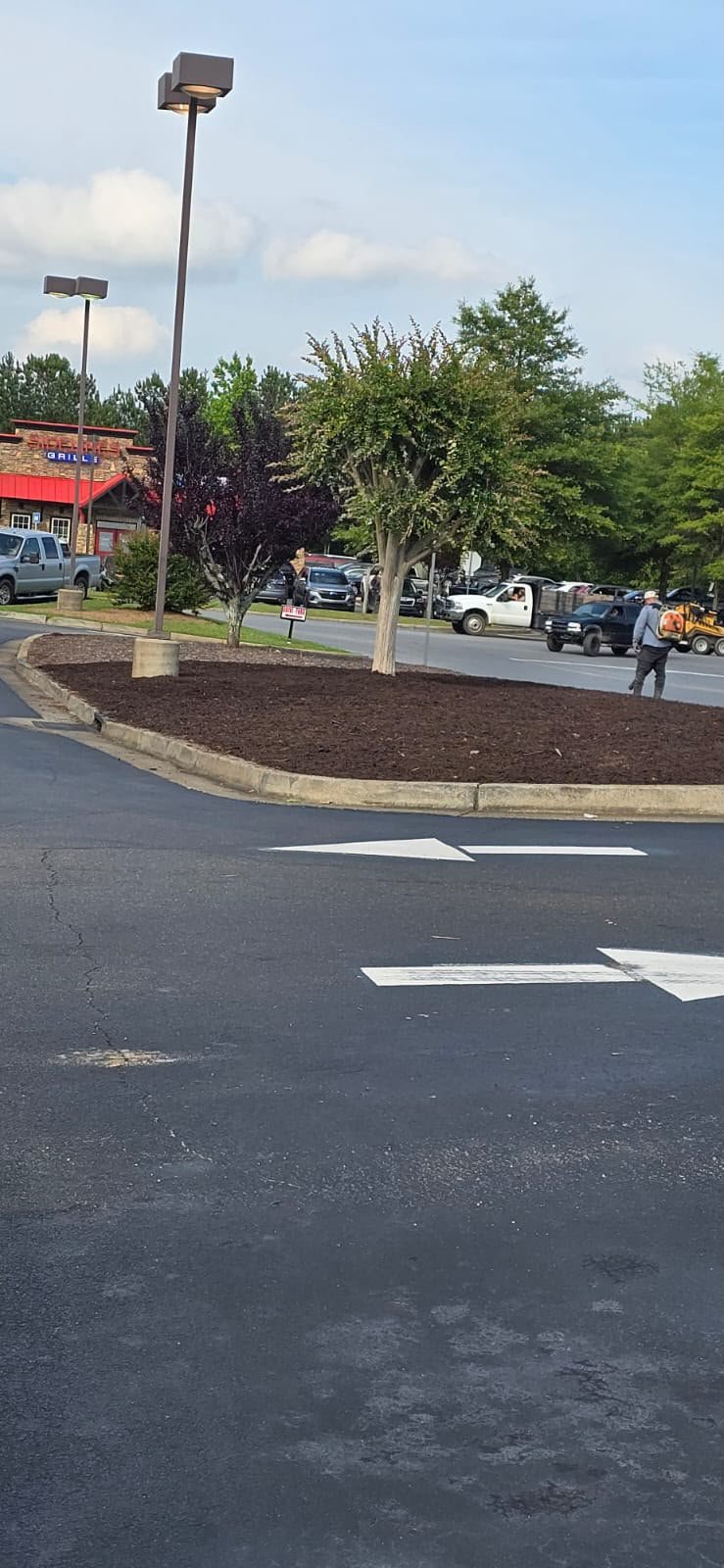 Fresh mulch installed around residential plants